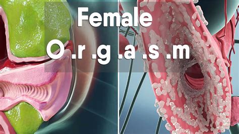 ibgasm|Orgasm: What Does It Feel Like and How to Have Them .